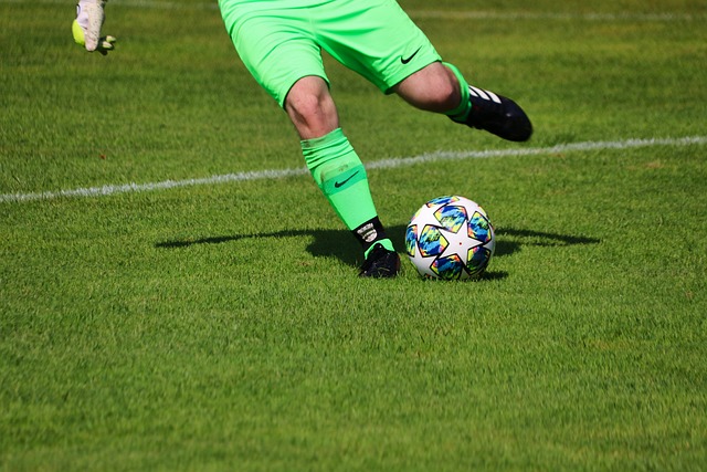 反映了他们 反映了他们